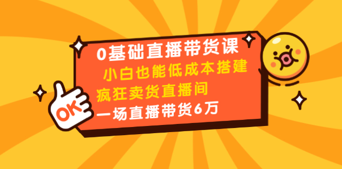0基础直播带货课:小白也能低成本搭建疯狂卖货直播间:1场直播带货6万-第一资源库