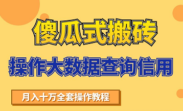搬砖操作大数据查询信用项目赚钱教程,祝你快速月入6万-第一资源库