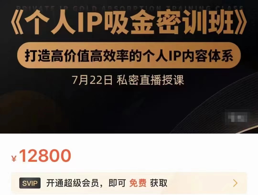 个人IP吸金密训班,打造高价值高效率的个人IP内容体系(价值12800元)-第一资源库
