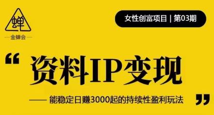 资料IP变现,能稳定日赚3000起的持续性盈利玩法-第一资源库