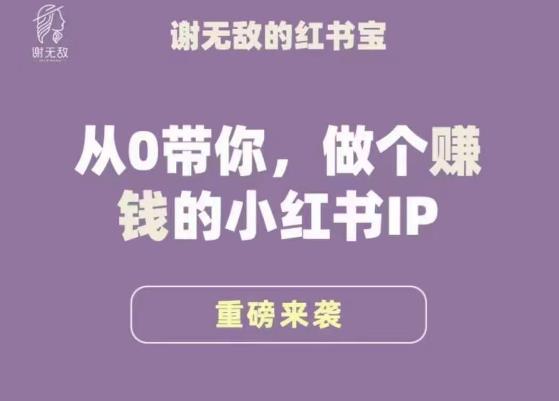 谢无敌·小红书运营大宝典,从0带你做个赚钱的小红书IP-第一资源库
