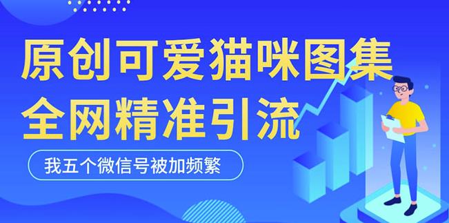 黑科技纯原创可爱猫咪图片,全网精准引流,实操5个VX号被加频繁-第一资源库