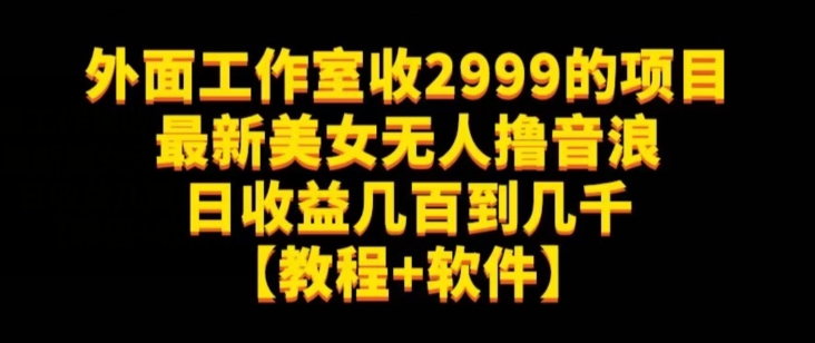外面工作室收2999的项目最新美女无人撸音浪日收益几百到几千【教程+软件】(仅揭秘)-第一资源库