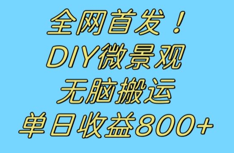 全网首发冷门赛道!DIY微景观,无脑搬运视频,日收益800+【揭秘】-第一资源库