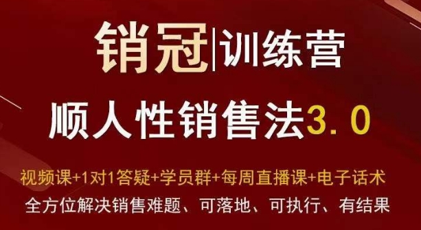 爆款！销冠训练营3.0之顺人性销售法，全方位解决销售难题、可落地、可执行、有结果-第一资源库