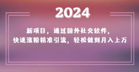2024新项目,通过国外社交软件,快速涨粉精准引流,轻松做到月入上万【揭秘】-第一资源库