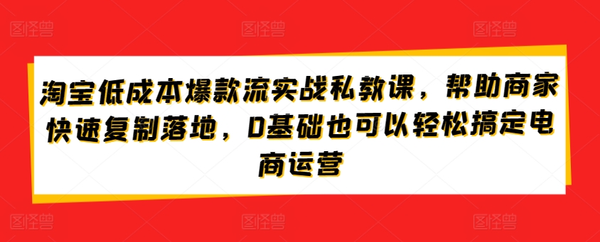 淘宝低成本爆款流实战私教课,帮助商家快速复制落地,0基础也可以轻松搞定电商运营-第一资源库