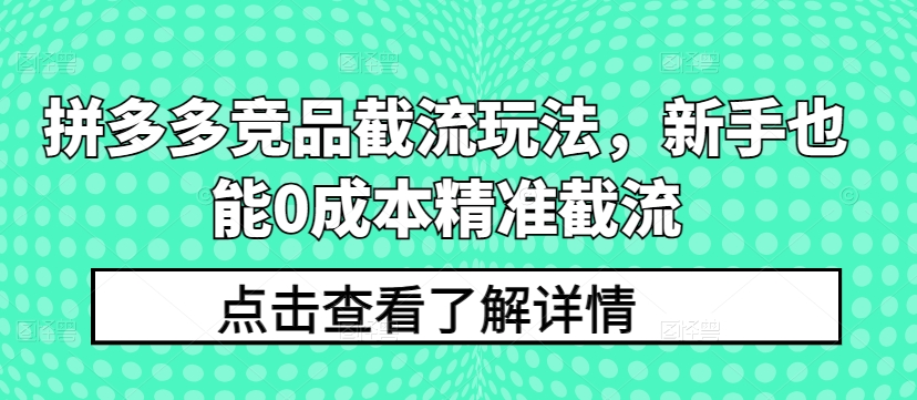 拼多多竞品截流玩法，新手也能0成本精准截流-第一资源库