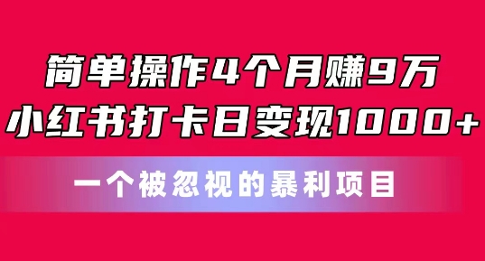 简单操作4个月赚9w，小红书打卡日变现1k，一个被忽视的暴力项目【揭秘】-第一资源库