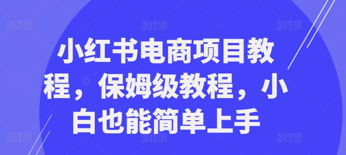 小红书电商项目教程,保姆级教程,小白也能简单上手-第一资源库