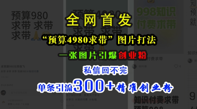 小红书“预算4980带我飞”图片打法,一张图片引爆创业粉,私信回不完,单条引流300+精准创业粉-第一资源库