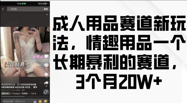 成人用品赛道新玩法,情趣用品一个长期暴利的赛道,3个月收益20个【揭秘】-第一资源库