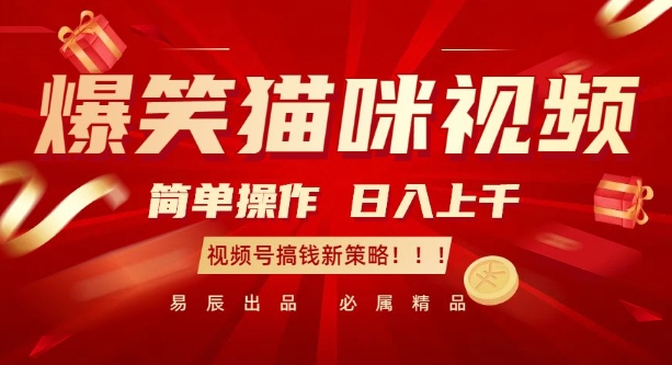 爆笑猫咪视频:简单操作,日入过K,视频号搞钱新策略【揭秘】-第一资源库