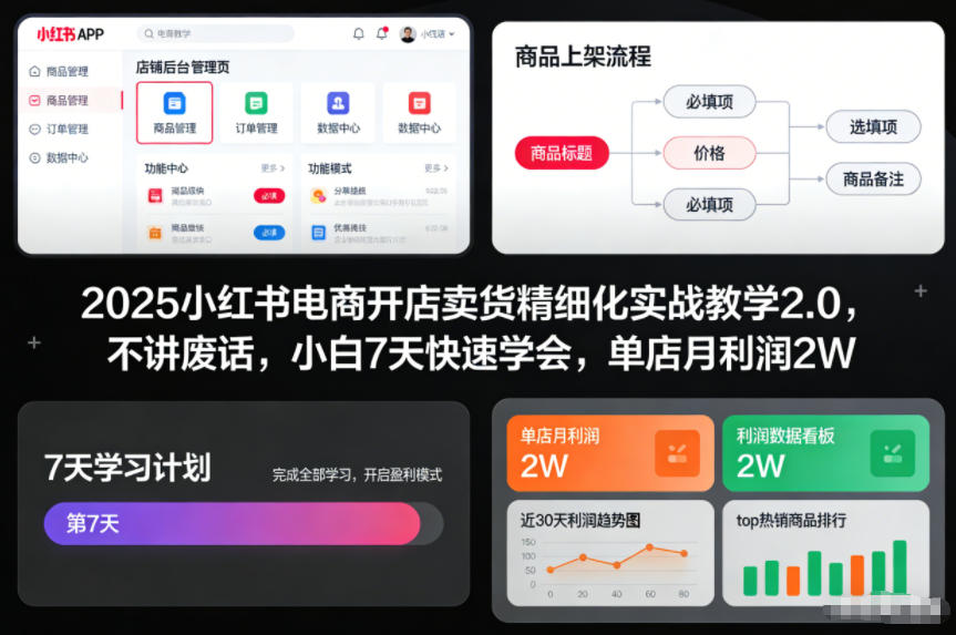 2025小红书电商开店卖货精细化实战教学2.0，不讲废话，小白7天快速学会，单店月利润2W-第一资源库