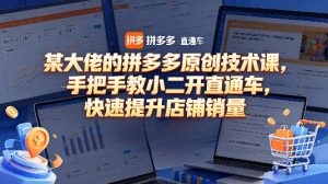 某大佬的拼多多原创技术课，手把手教小二开直通车，快速提升店铺销量-第一资源库