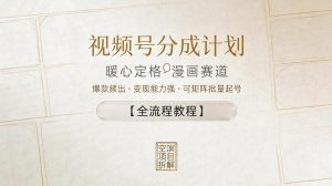 视频号分成计划，暖心定格漫画赛道，爆款频出，变现能力强，可矩阵批量起号【全流程教程】-第一资源库
