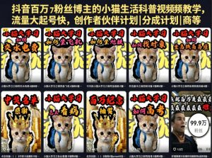 抖音百万粉丝博主的小猫生活科普视频教学,流量大起号快,创作者伙伴计划|分成计划|商单|收徒等-第一资源库