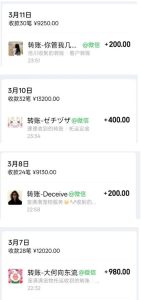 宠物托运阳光赛道賺钱教学，小众高刚需冷门项目，日均10单稳定盈利，单均利润200+-第一资源库