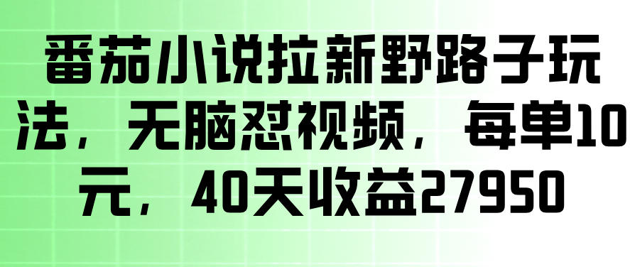 番茄小说拉新野路子玩法，无脑怼视频，玩法简单、见效快，每单10米，40天收益27950-第一资源库