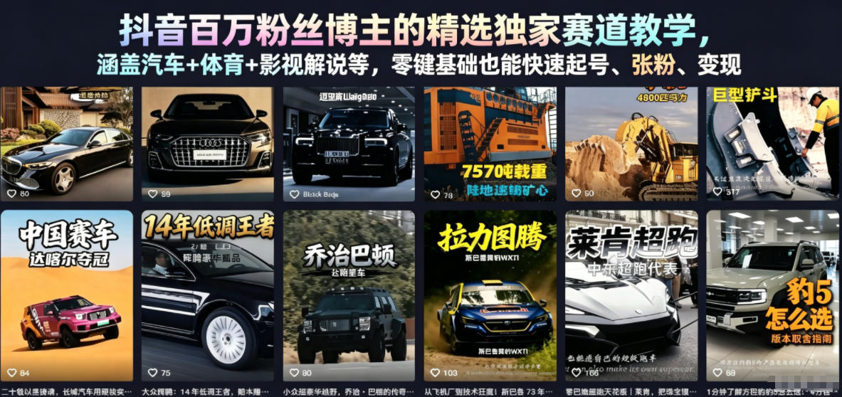抖音百万粉丝博主的精选独家赛道教学，涵盖汽车+体育+影视解说等，零基础也能快速起号、涨粉、变现-第一资源库