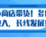 微信小商店带货，爆单多倍收入，长期复利循环！日赚300-800元不等-第一资源库