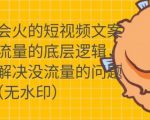 只说话就会火的短视频文案课,从根本上解决没流量的问题-第一资源库