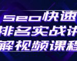 seo快速排名实战讲解视频课程,揭秘seo快排原理-第一资源库