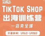 疯人院:TikTok Shop出海训练营（一店卖全球)，出海抢占全球新流量-第一资源库