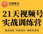 张萌21天视频号实战训练营,裂变涨粉、内容创作、视频号变现 价值298元-第一资源库