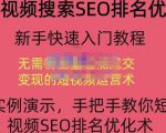 宋老师·短视频搜索SEO优化，教你10分钟创作一个短视频，三天排名上第一-第一资源库