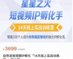 瑶瑶·自然流短视频IP孵化第二期，14天线上实战训练营，赋能100个人成为有数据能赚钱的独立IP孵化手-第一资源库
