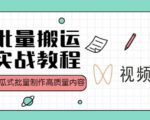 视频号批量搬运实战操作运营赚钱教程,傻瓜式批量制作高质量内容【附视频教程+PPT】-第一资源库