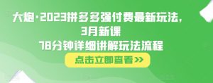 大炮·2023拼多多强付费最新玩法,3月新课78分钟详细讲解玩法流程-第一资源库