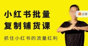 张宾·小红书批量复制铺货课,小红书0-1快速起号变现玩法,抓住小红书的流量红利(更新2023年3月)-第一资源库