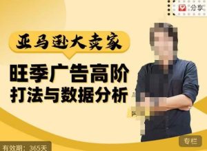 阿甘·亚马逊大卖家广告高阶打法与数据分析,走出传统广告误区;揭秘大卖惯用打法;数据驱动广告决策-第一资源库