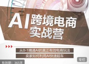 白龙老师·AI跨境电商实战营:从0-1精通Al的真正有效电商玩法,卖家如何利用Al快速超车-第一资源库