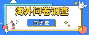 外面收费5000+海外问卷调查口子查项目,认真做单机一天200+【揭秘】-第一资源库