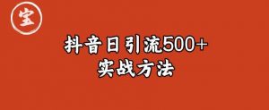 宝哥抖音直播引流私域的6个方法,日引流500+-第一资源库