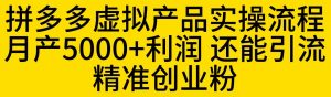 拼多多虚拟产品实操流程,月产5000+利润,还能引流精准创业粉【揭秘】-第一资源库