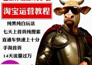 猫老师·淘系算法逆向解密,纯黑纯白玩法,七天上首页纯搜索,手淘首页14天流量过万-第一资源库
