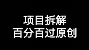 项目拆解赛道百分百过原创【揭秘】-第一资源库