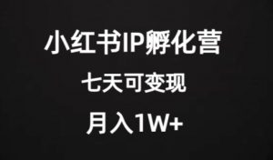 价值2000+的小红书IP孵化营项目,超级大蓝海,七天即可开始变现,稳定月入1W+-第一资源库