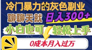 冷门暴利的副业项目,聊聊天就能日入300+,0成本月入过万【揭秘】-第一资源库