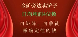 金矿旁边卖铲子，赚确定性的钱，可矩阵，可收徒，日均利润4位数【揭秘】-第一资源库