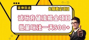 试玩充值流掘金项目,批量矩阵玩法一天500+【揭秘】-第一资源库