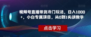 视频号直播带货冷门玩法,日入1000+,小白专属项目,从0到1实战教学【揭秘】-第一资源库