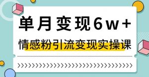 单月变现6W+，抖音情感粉引流变现实操课，小白可做，轻松上手，独家赛道【揭秘】-第一资源库