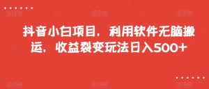 抖音小白项目,利用软件无脑搬运,收益裂变玩法日入500+【揭秘】-第一资源库