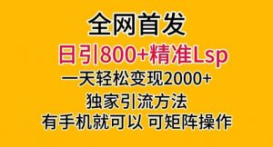 全网首发！日引800+精准老色批，一天变现2000+，独家引流方法，可矩阵操作【揭秘】-第一资源库