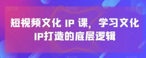 短视频文化IP课,学习文化IP打造的底层逻辑-第一资源库